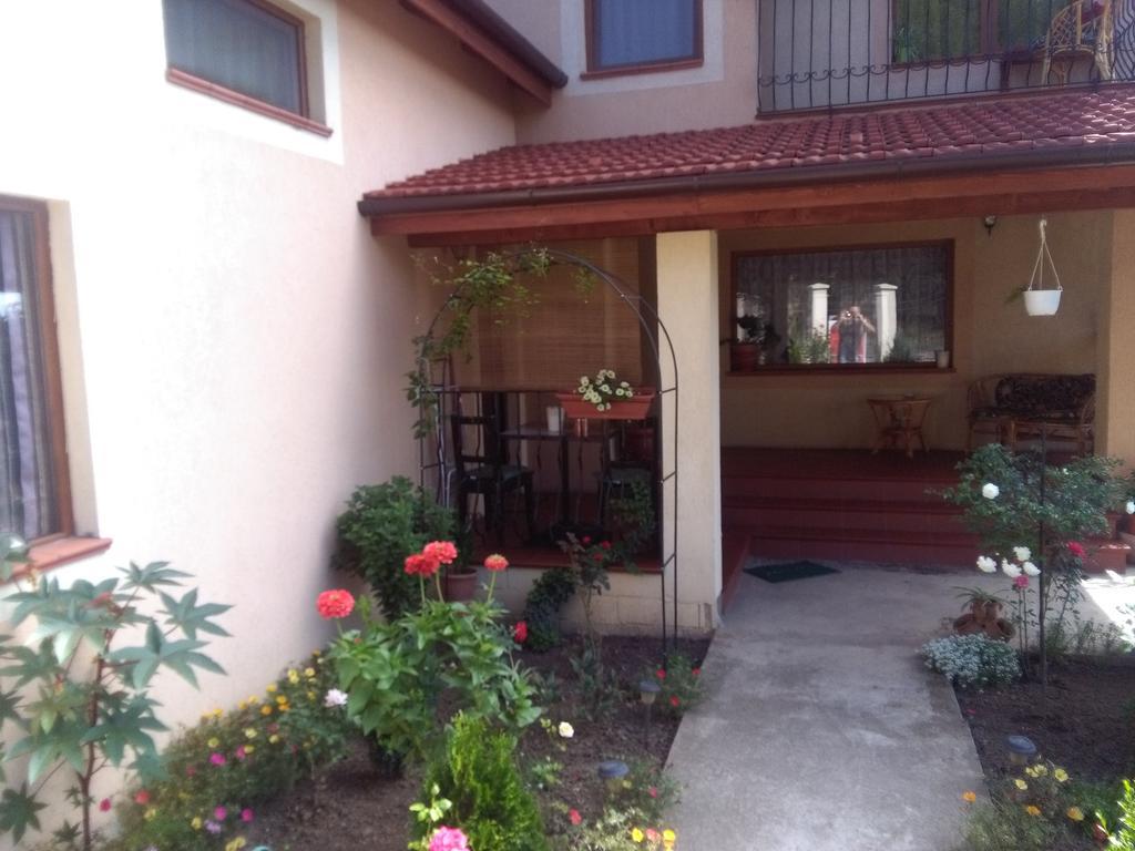 Casa Doina Apartment Baile Felix Exterior photo