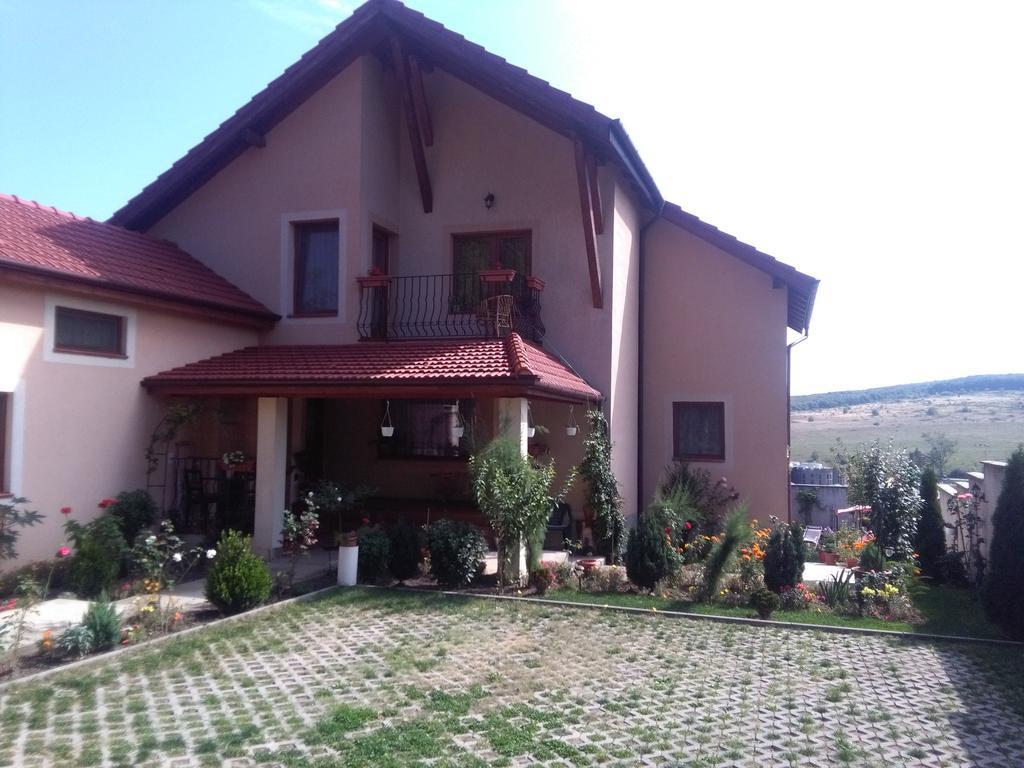 Casa Doina Apartment Baile Felix Exterior photo